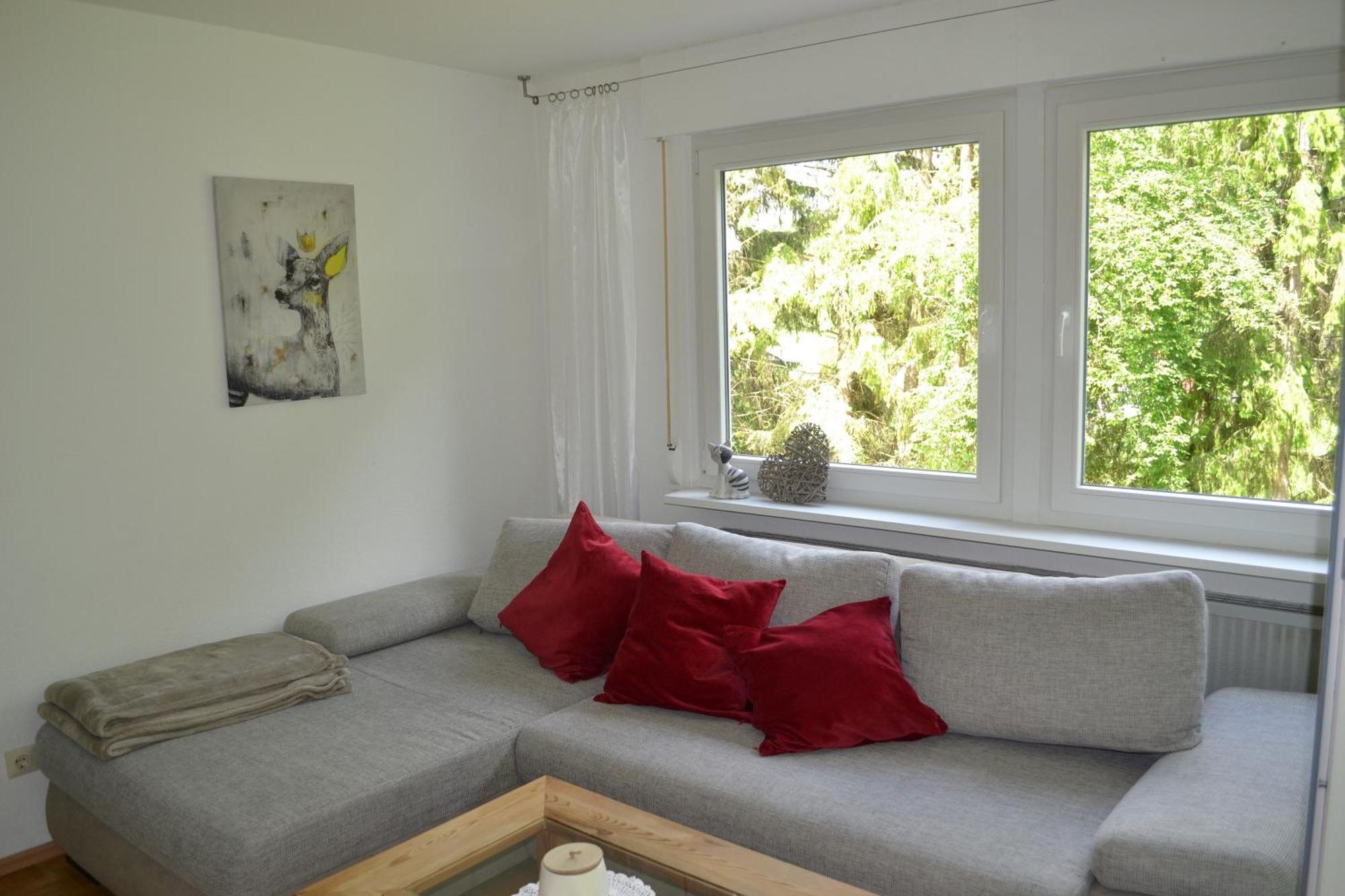 Am Eschachwaeldle Apartment Niedereschach Ngoại thất bức ảnh